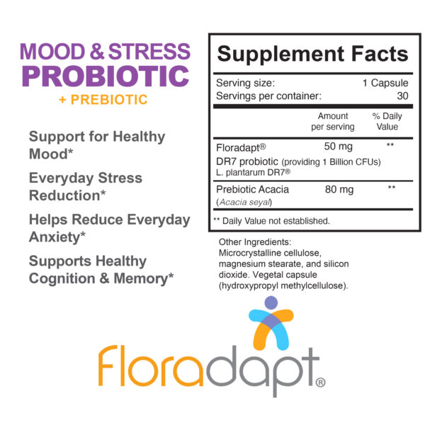 Mood & Stress Probiotics Supplement Facts