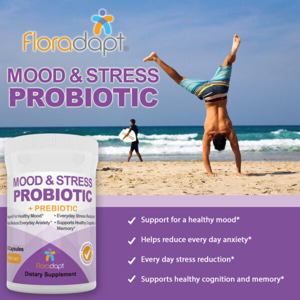 Mood & Stress Probiotics information